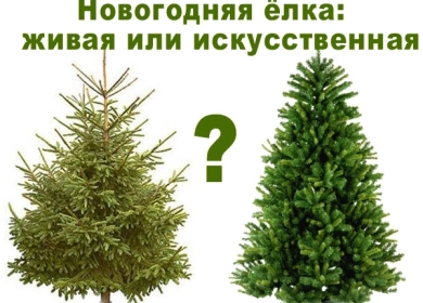 https://vector.demo.onlinebees.ru/u/news/158_big_0.webp