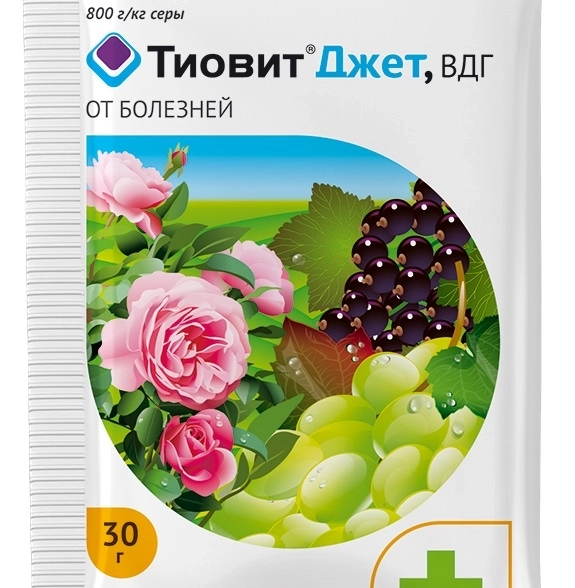 Тиовит Джет 30г Август