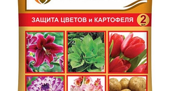 Максим 2мл амп. цвет.пакет BX *200